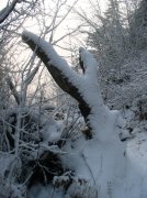 11.27.05 Nesmith Point 059